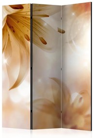 Paravento  Queens of Summer [Room Dividers]  Colore ---, Dimensioni e Misure 135x172