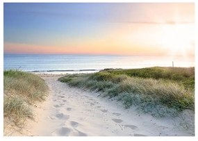 Fotomurale adesivo Morning walk on the beach