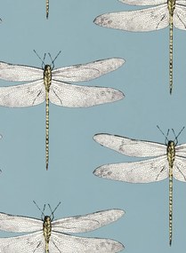 Harlequin Carta da parati Demoiselle - Cornflower/ First Light/ Honey