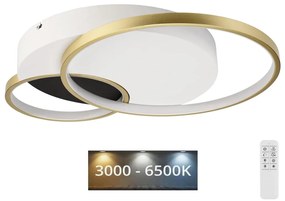 Plafoniera dimmerabile BENITO LED/31W/230V 3000-6500K bianco/oro