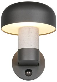 Illuminazione esterna con sensore di movimento da parete (altezza totale 24,5 cm) Fraser – Trio