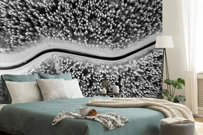 Carta da parati – Vista su paesaggio invernale in bianco e nero