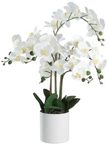 Eglo 428024 - Pianta artificiale in vaso HYUGA 65x50 cm orchidea