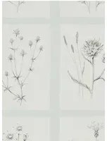 Botanische Tapete Little Thistles von Sanderson - Grey Blue