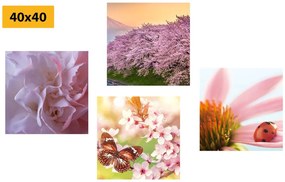 Set di quadri – Fioritura della natura