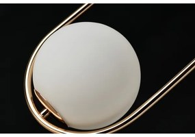 Azzardo AZ4981 - Lampadario a sospensione con filo COCO 1xG9/50W/230V