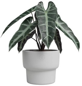 Vaso in ceramica fatto a mano ø 17 cm Echo - Artevasi