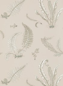 GP & J Baker Carta da parati Ferns - Linen