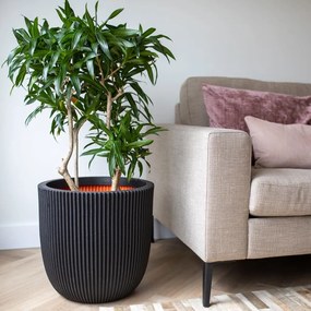 Vaso Groove 43x41 Cm Nero /