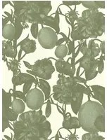 Studio Lisa Bengtsson Carta da parati Firenze - Green