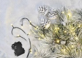 Catena luminosa LED da esterno 80xLED/3xAA 6,1 m IP44 bianco caldo