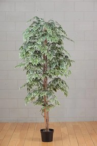 Pianta artificiale senza vaso Ficus in pvc colore multicolore H 120