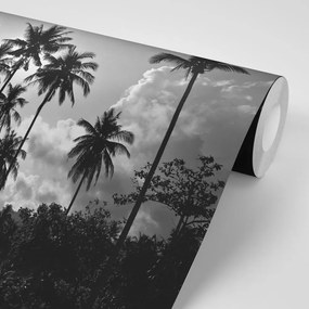 Carta da parati – Palme da cocco sulla spiaggia in bianco e nero