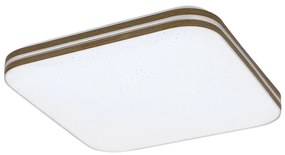 Rabalux 71178 - Plafoniera LED OSCAR LED/18W/230V 3000K 33x33 cm