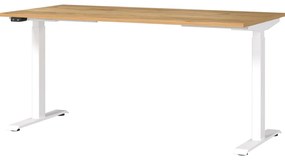 Tavolo da lavoro ad altezza regolabile elettricamente con piano in rovere 80x160 cm Jet - Germania