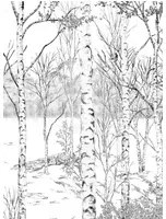 Isidore Leroy Carta da parati panoramica Nunavut Grisaille - Panel C