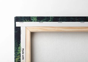 Stampa su tela – Parco Yoho in Canada