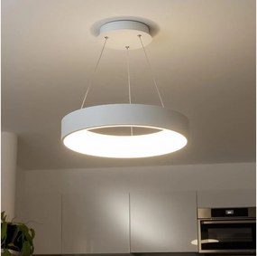 Brilagi - Lampadario a sospensione dimmerabile su cavo FALCON LED/80W/230V 3000-6500K + telecomando