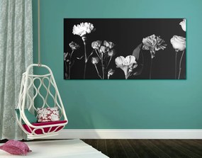 Stampa su tela – Fiori eleganti in bianco e nero