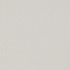 Tenda a rullo screen VIEWTEX 0.01 beige lino, bianco 219x250 cm