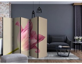 Paravento  Pink tulip II [Room Dividers]  Colore ---, Dimensioni e Misure 225x172