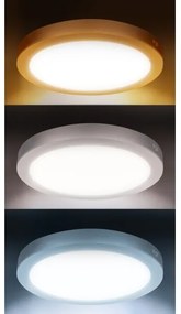 Solight WD244-S - Pannello LED 2 in 1 24W/230V 3000/4000/6000K diam. 30 cm IP54 argento