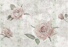 Fotomurale KOMAR Tantinet, multicolor 368X248 cm