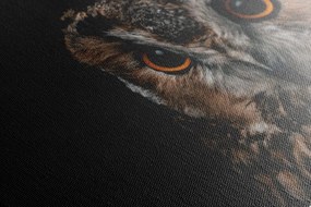 Quadro su tela – Gufo