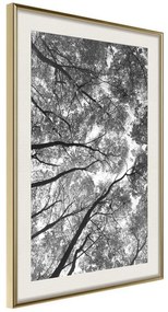 Poster  Lying on the Grass  Cornice Quadri Cornice d'oro con passe-partout, Larghezza x Altezza Home decor 40x60