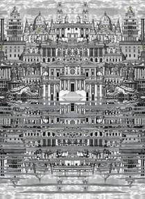 Tapete Riflesso von Cole and Son - Black and White