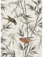 Little Greene Carta da parati Great Ormond Street - Signature