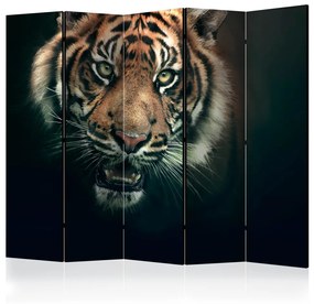 Paravento separè Tigre del Bengala II (5 parti) - animale selvatico su sfondo nero