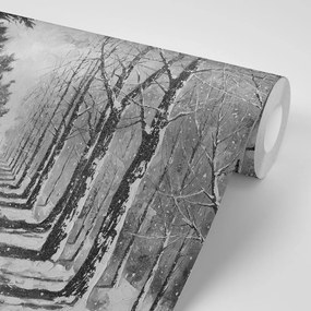 Carta da parati – Viale autunnale in bianco e nero