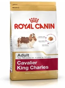 Io penso Royal Canin Cavalier King Charles Adulto 1,5 Kg