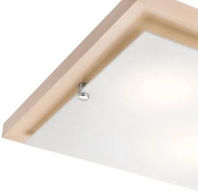 Lampada da soffitto 2xE27/60W/230V
