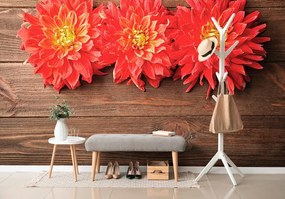 Carta da parati autoadesiva – Fiori di dalie sul legno
