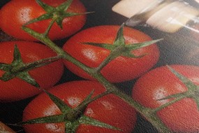 Quadro su tela – Varietà di pasta italiana