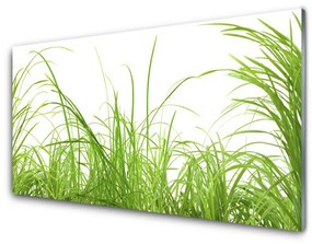 Quadro in vetro acrilico Erba, piante, natura 100x50 cm