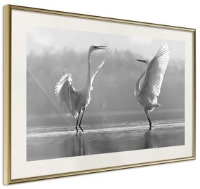 Poster  Black and White Herons  Cornice Quadri Cornice d'oro con passe-partout, Larghezza x Altezza Home decor 60x40