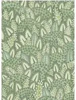 Cole & Son Carta da parati Zulu Terrain - 119/9041