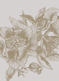 Coordonne Carta da parati panoramica Giant Peonies - Papirus