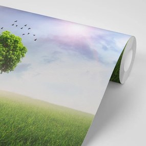 Carta da parati – Albero solitario sul prato