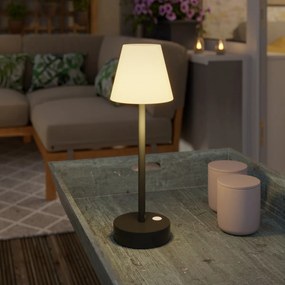 Lampada da tavolo grigio scuro con LED ricaricabile con dimmer tattile - Renata