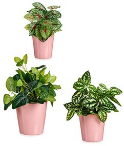 Set di Vasi Rosa Argilla (6 Unità)