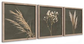 Set di dipinti 3 pz 30x30 cm Pampas – Styler