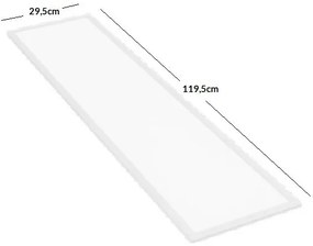 Panel 300x1200mm 38W CW