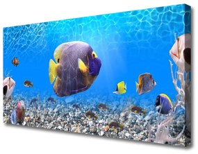 Quadro su tela Pesce della natura 100x50 cm