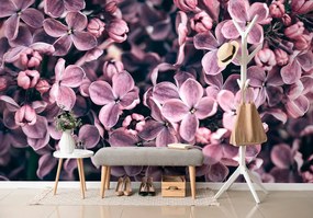 Carta da parati – Fiori di lillà viola