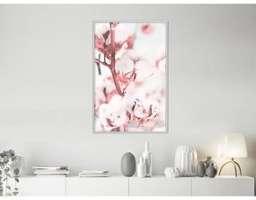 Poster Cotton Flowers