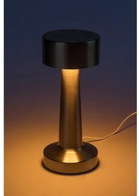Rabalux 74207-LED Lampada da tavolo ricaricabile SENAN LED 2,7W/5V 1200mAh oro